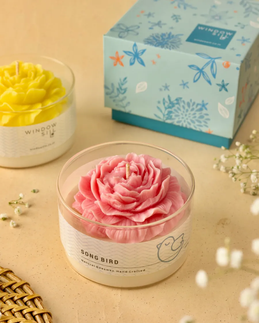Pink and yellow peony candles in glass jars by Windowsill, with floral packaging, showcasing biophilia-inspired decor.