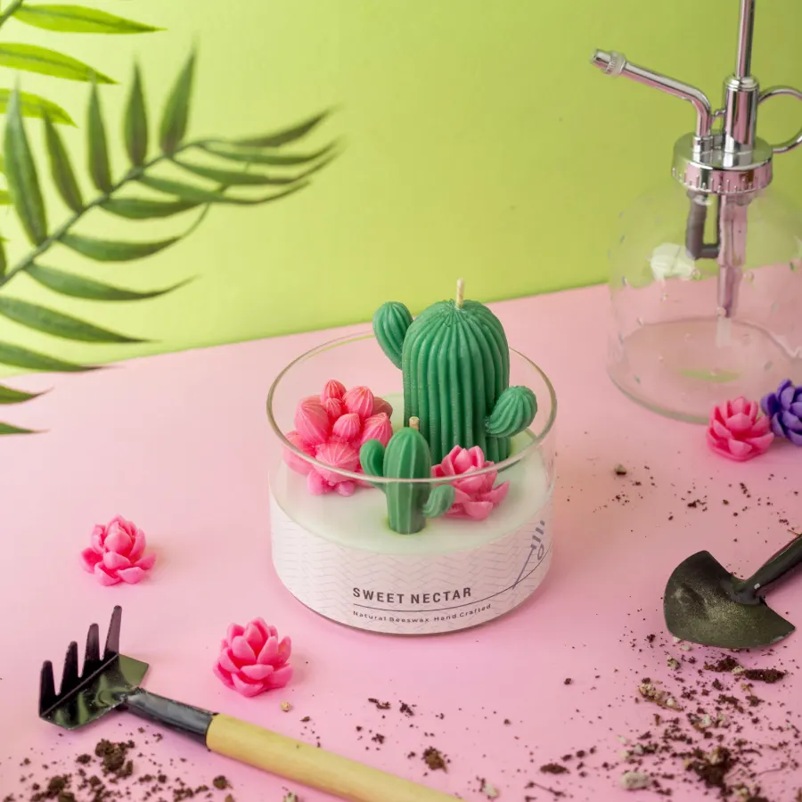 Cactus Garden - Image 4