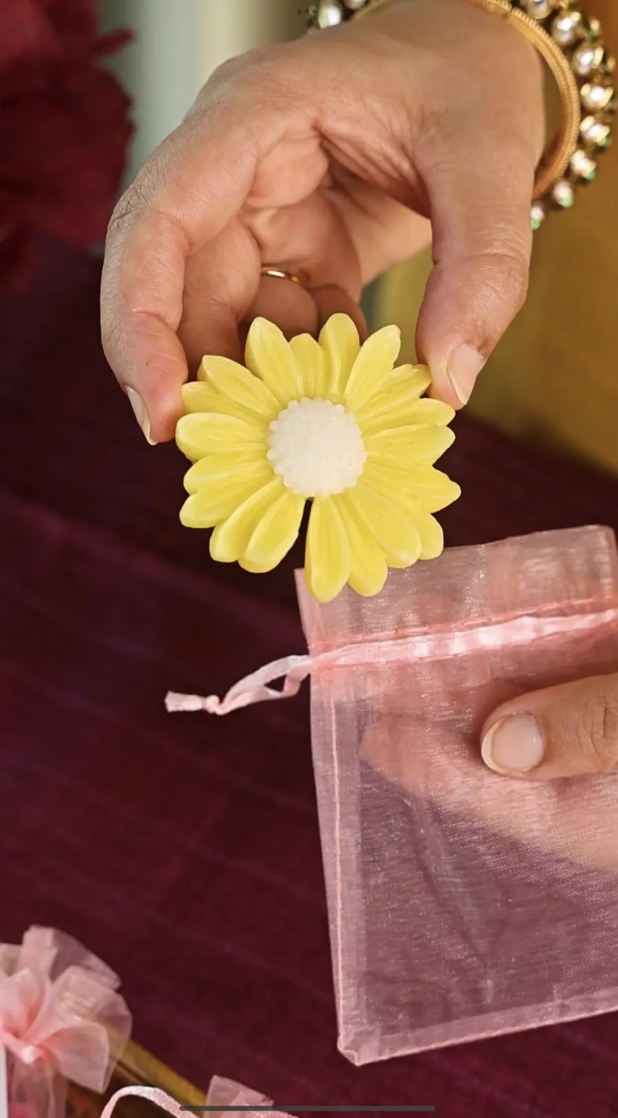Daisy Blooms